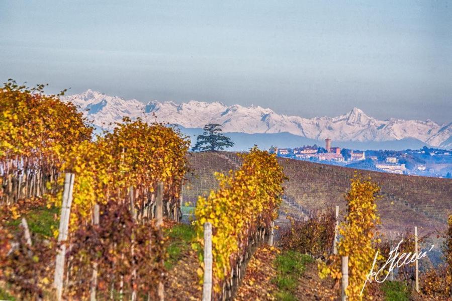 Cascina Rocca Agriturismo B&B La Morra Zewnętrze zdjęcie