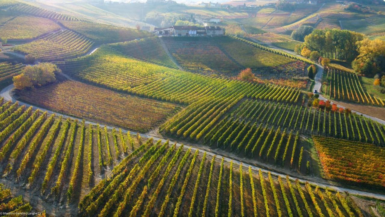 Cascina Rocca Agriturismo B&B La Morra Zewnętrze zdjęcie