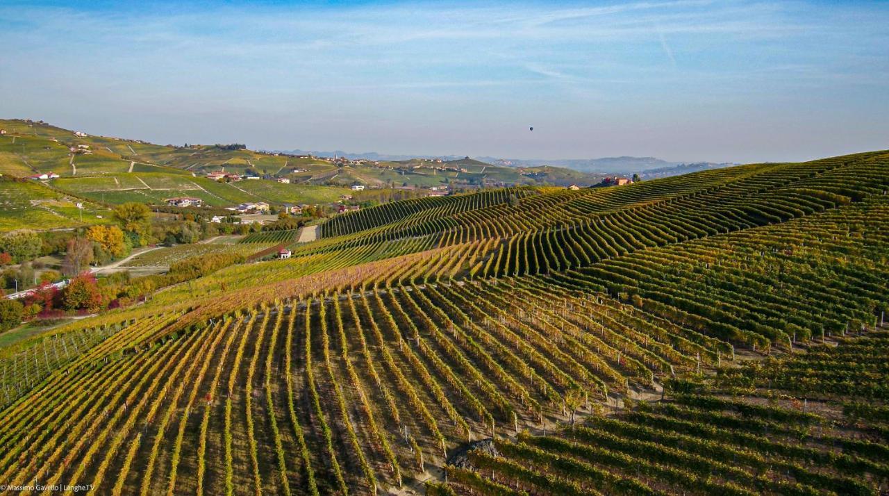 Cascina Rocca Agriturismo B&B La Morra Zewnętrze zdjęcie