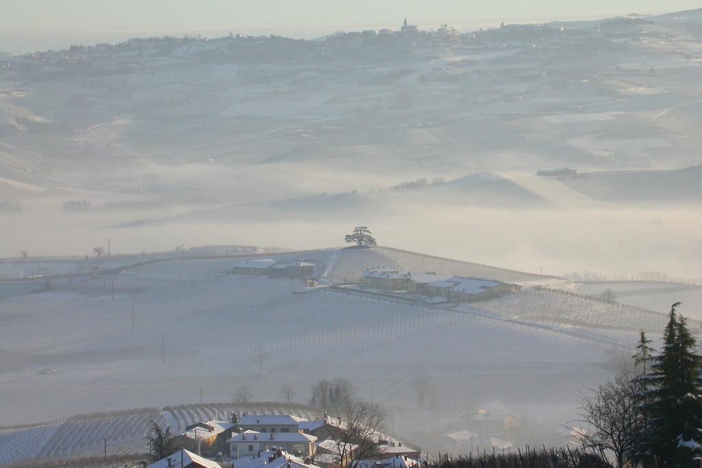 Cascina Rocca Agriturismo B&B La Morra Zewnętrze zdjęcie