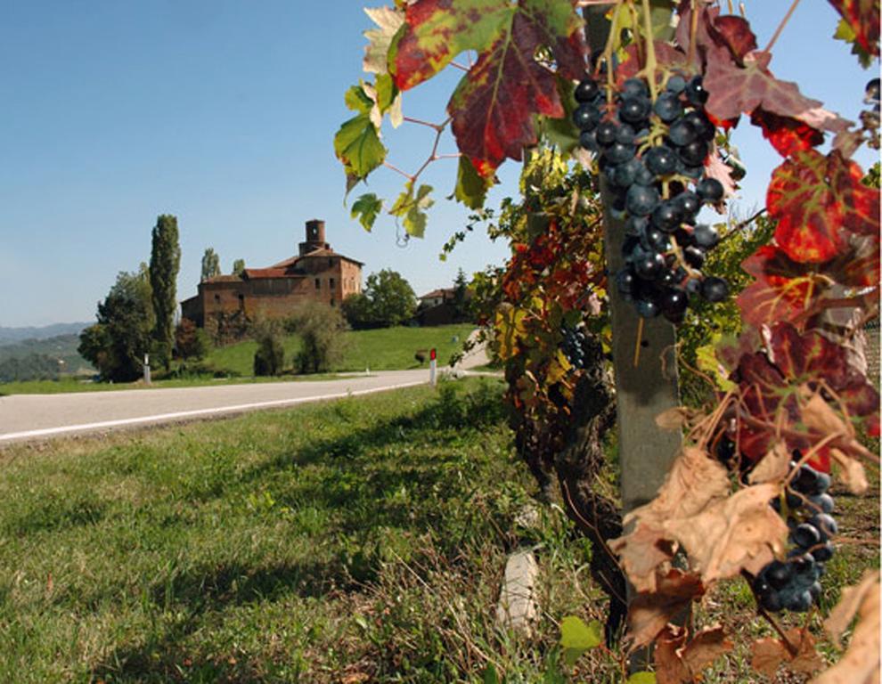 Cascina Rocca Agriturismo B&B La Morra Pokój zdjęcie