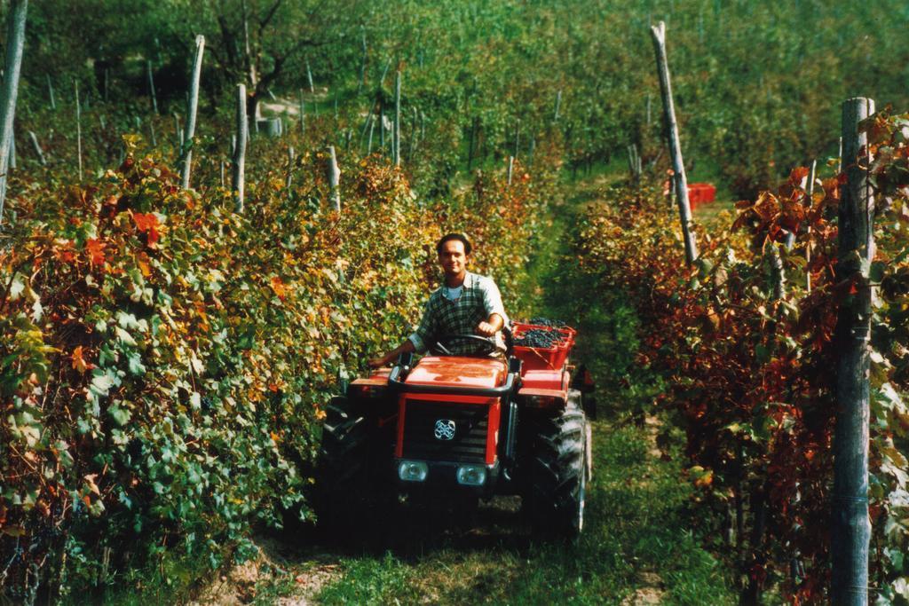 Cascina Rocca Agriturismo B&B La Morra Zewnętrze zdjęcie